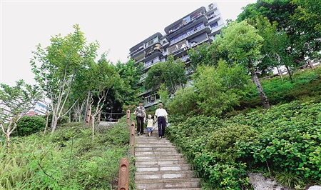 市民在西郊三村社区公园里散步